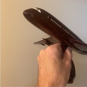 Brown 787 Wood Model Airplane (with slowed down video)